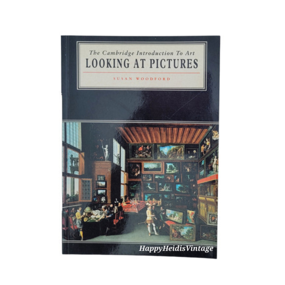 Looking at Pictures Cambridge Introduction to the History of Art 1991 Paperback‎